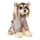 thumbnail image 1 of Ropa Para Perros Otoño E Invierno, 1 of 8