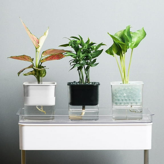 Manunclaims Self Watering Pot, Automatic Self Watering Succulent Plant Flower Pots PP Planter Home Garden Decor - Planter Pot for Orchid, Herb, African Violet, Succulents, Plant