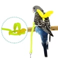 thumbnail image 2 of Cute Winged Harness and Leash for Small Birds Flying Training Outdoor Adjustable Winged Harness and Leash for Parrots Pigeons, 2 of 4