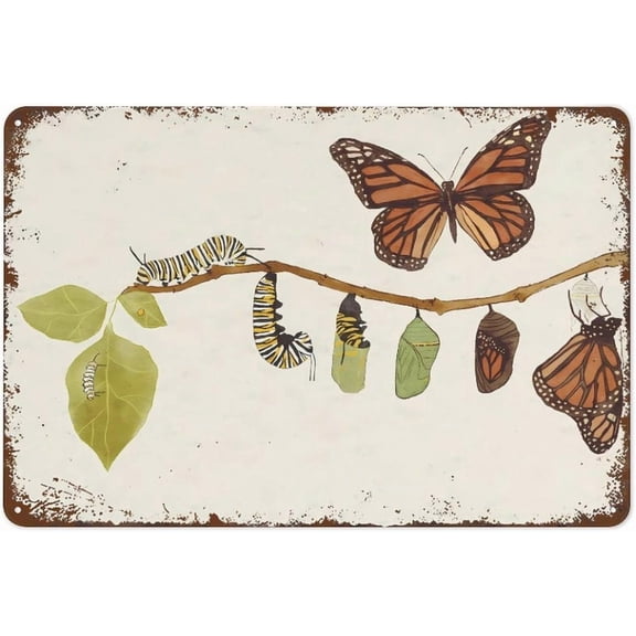 Monarch Butterfly Life Cycle Poster - Nature Watercolor Wall Art Funny Vintage Metal Tin Sign for Bedroom Living Room Kitchen Yard Garden Wall Decor Gift 12 x 8 Inch Outdoor and Indoor