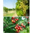 thumbnail image 5 of Bird Netting for Garden,13Ft x 32Ft Reusable Garden Netting Plants Barrier, Plant Netting Mesh Net Protect Fruit Trees Seedlings Plants from Birds, Squirrels, Cicadas,Rodents, 5 of 8