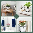 thumbnail image 6 of Esterno Farmhouse Resin Planters with Saucers (2-Pack); Retro Tudor Style White with Black Trim 1.5 Quart Square Planters and Trays, 6 of 7