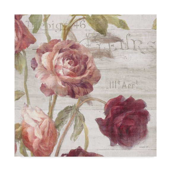 Trademark Fine Art 'French Roses IV' Canvas Art by Danhui Nai