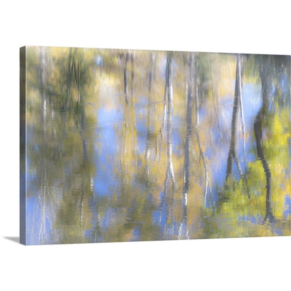 Great BIG Canvas | "Tree Reflections I" Canvas Wall Art - 36x24