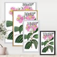 thumbnail image 4 of Designart Vintage Plant Life XXIII FLOAT FRAME WALL ART, 4 of 4