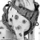 thumbnail image 3 of 26-27 No-pull Dog Harness Padded Adjustable Pet Vest Harness For Large Dogs Training Or Walking - JV, 3 of 5