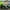 Green, variant on Joyracer 24V Ride on Toys w/ Remote Control, 4WD Powered Electric UTV with 4*200W Motors, Larger Seat 4 Wheeler with LED Light, Bluetooth, Music, Spring Suspension, 3 Speeds, Black