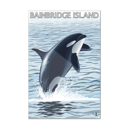 Online Shopping Wa Bainbridge Island, WA - Orca Jumping - Lantern Press Original Poster (8x12 Acrylic Wall Art Gallery Quality) ()