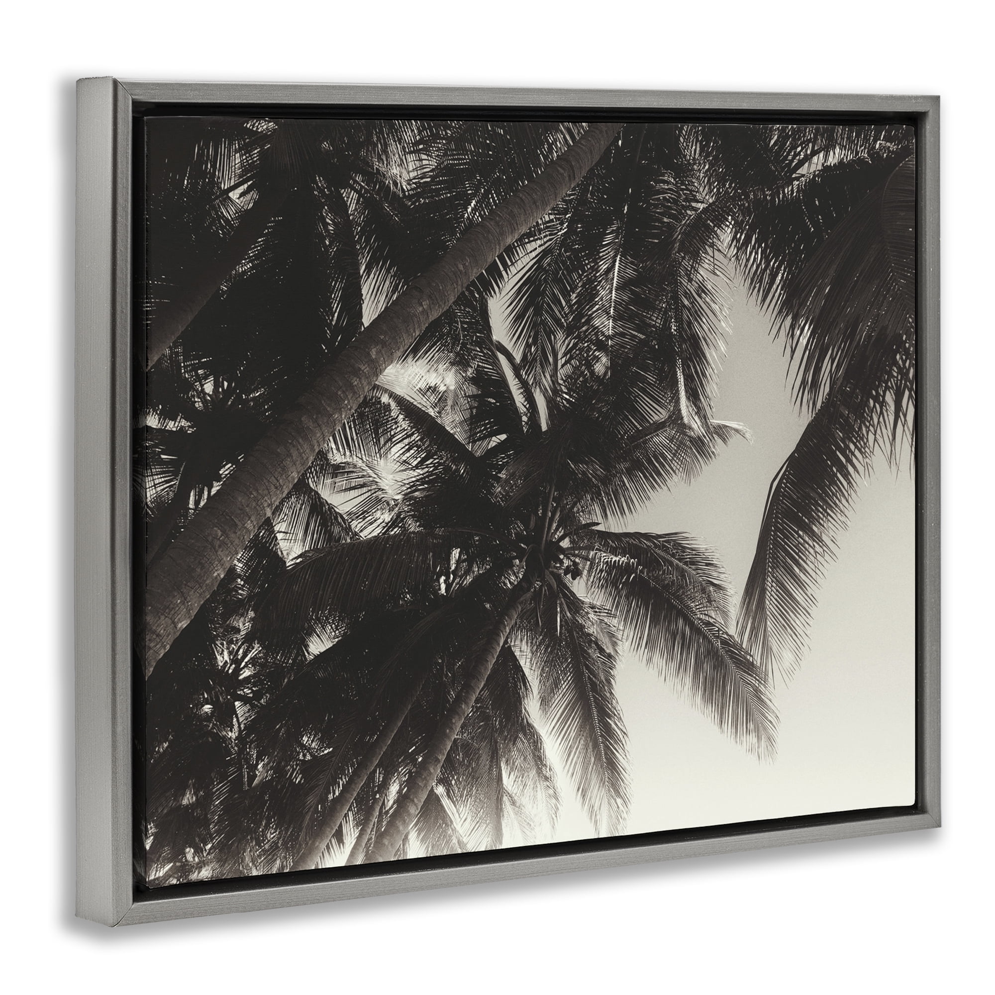 Stupell Industries Dark Palm Leaves Botanical & Floral Photography Gray Floater Framed Canvas Art Print Wall Art, 21 x 17
