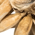 thumbnail image 3 of Vickerman 12-16" Bleached Star Pod, Extra Large, 3 of 4