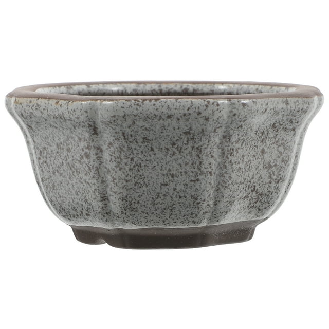 Compact Ceramic Thumb Planter for Succulents 2pcs Flower Pots with Drainage Hole for Indoor and Outdoor Use