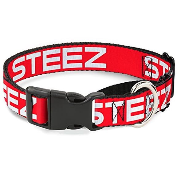 Buckle-Down "STEEZ Flat" Martingale Dog Collar
