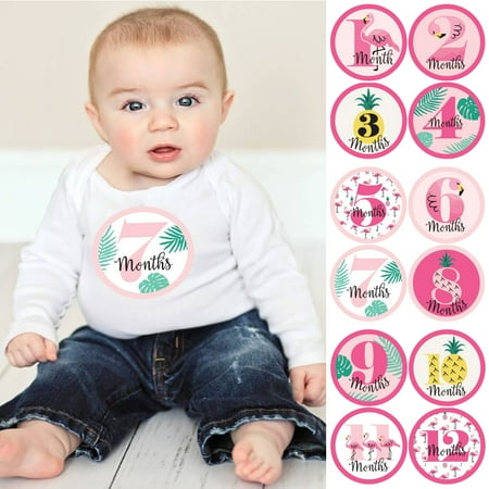 Baby Flamingo - Pink Flamingo - Party Like a Pineapple - Monthly Baby Sticker Set - Tropical Baby Shower Gift Ideas - 12 Piece