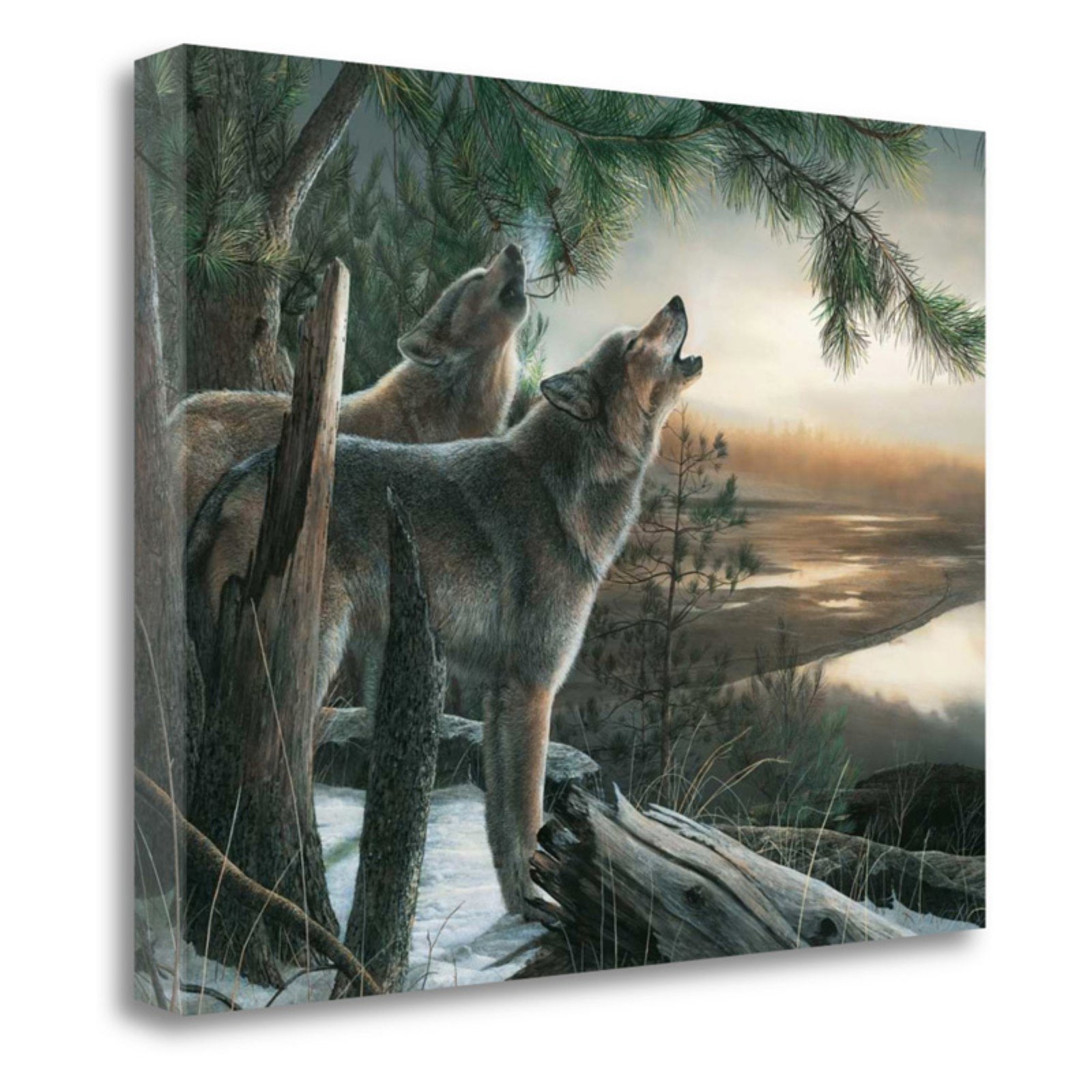 Call Of The Wild By Kevin Daniel, Fine Art Giclee Print on Gallery Wrap ...