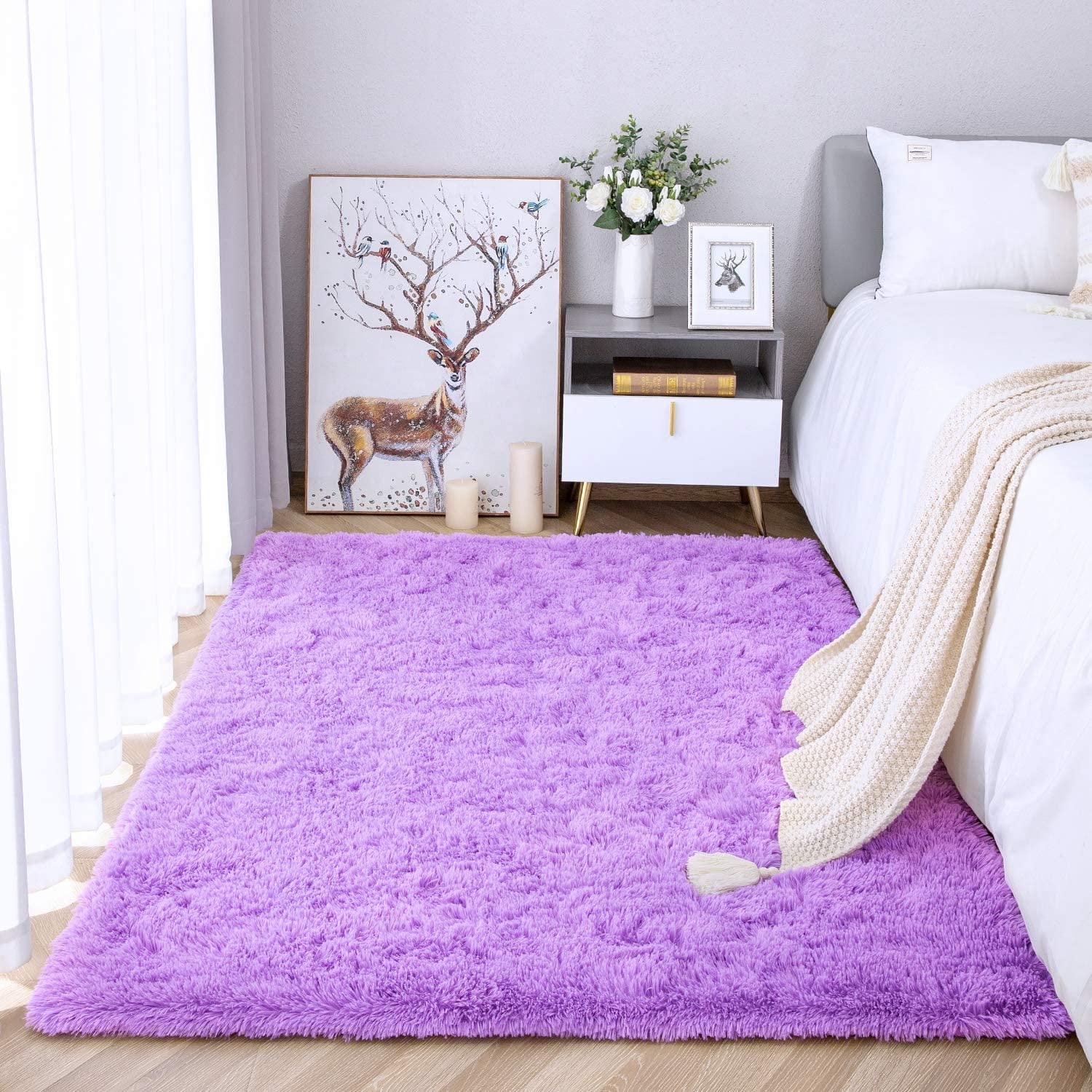 DweIke Super Soft Shaggy Rugs Fluffy Carpets/Area Rug for Living Room Bedroom Girls Kids Room Nursery Home Decor, Non-Slip Plush Indoor Floor