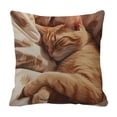 thumbnail image 2 of Spring Cute Pet Patterns Cushion Cover Soft Throw Pillow Cover For Sofa And Chair Ideal Choice For Spring Easter Sofa And Bedroom Decoration, 2 of 6