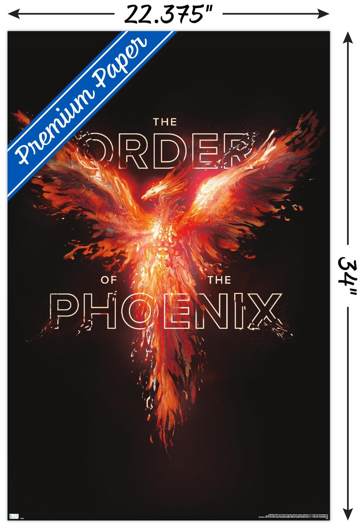 Harry Potter - Order of the Phoenix Magic Wall Poster, 22.375" x 34"