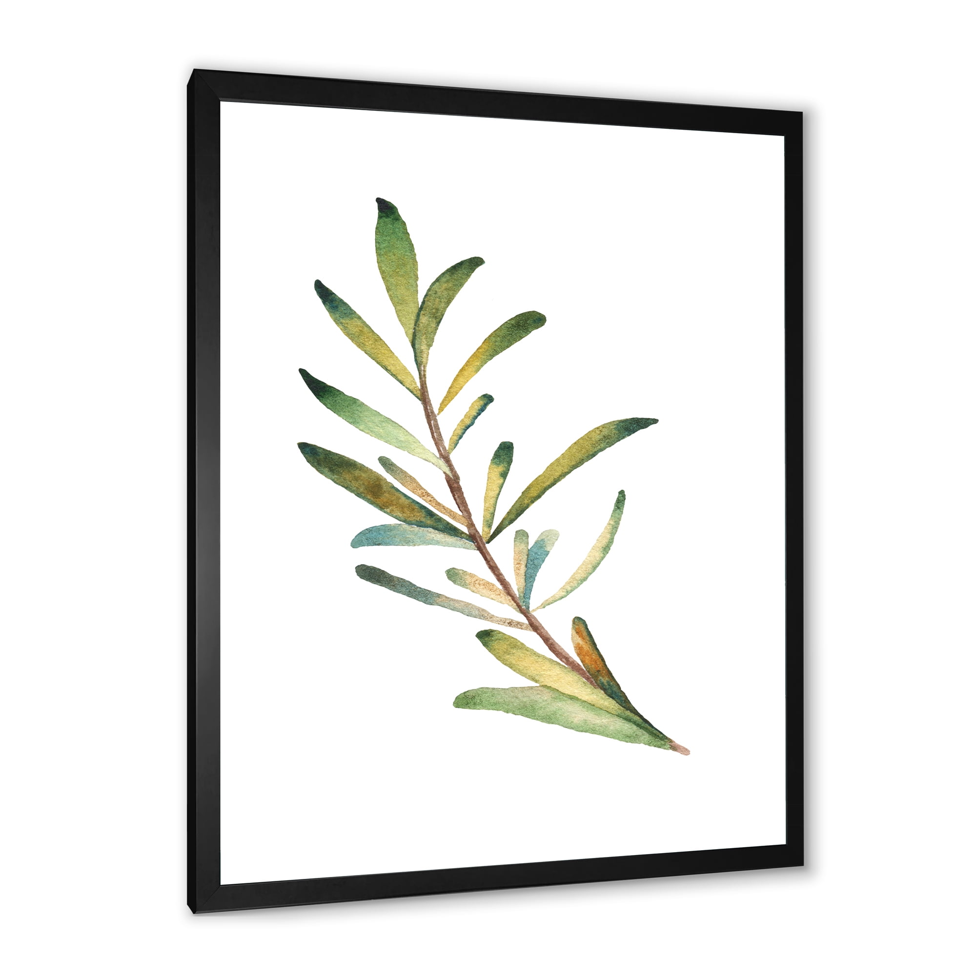 Designart 'Leaf Rosemary Branch on White' Traditional Framed Art Print