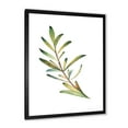 thumbnail image 2 of Designart 'Leaf Rosemary Branch on White' Traditional Framed Art Print, 2 of 4