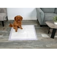 thumbnail image 4 of Hartz Home Protection Odour Lavender 30ct Extra Large Pee Pads and Training Pads for Puppies and Adult Dogs, 4 of 4