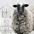 thumbnail image 3 of Sommers, Mindy 12x12 Black Modern Framed Museum Art Print Titled - On the Farm, 3 of 5