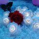 thumbnail image 2 of Guirnalda de luces decorativas de San Valentín, 20 luces LED rosas a pilas para bodas, fiestas de amigos, San Valentín, decoración romántica para interiores y exteriores., 2 of 2