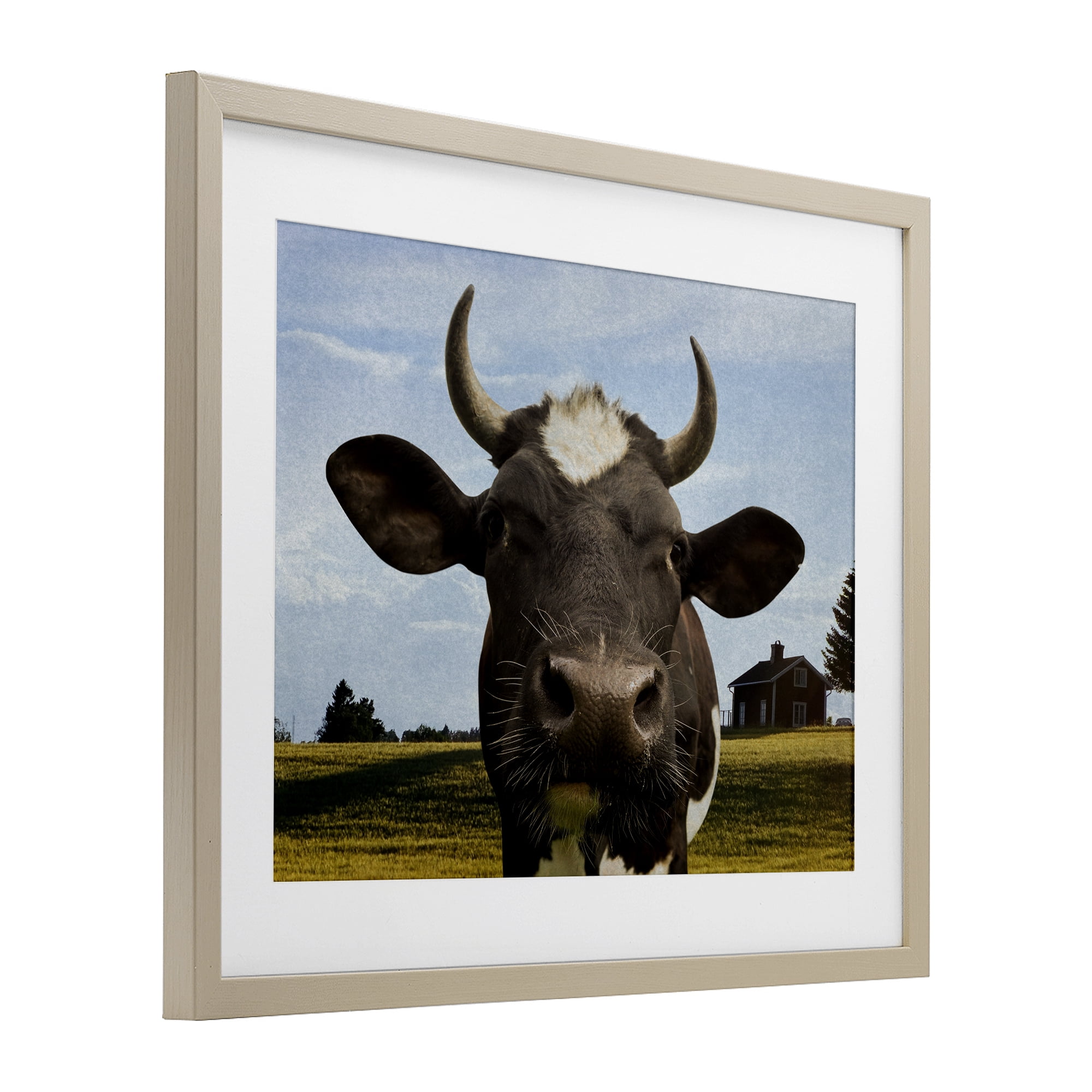 Stupell Industries Farm Cow with Curved Horns Birch Framed Print Under Glass, design by Marcus Prime