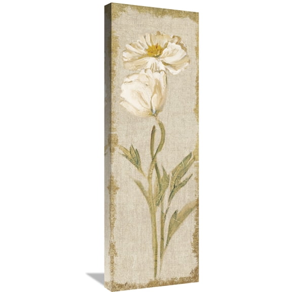 Global Gallery Cheri Blum 'Cosmo Panel on White Vintage' Canvas Wall Art