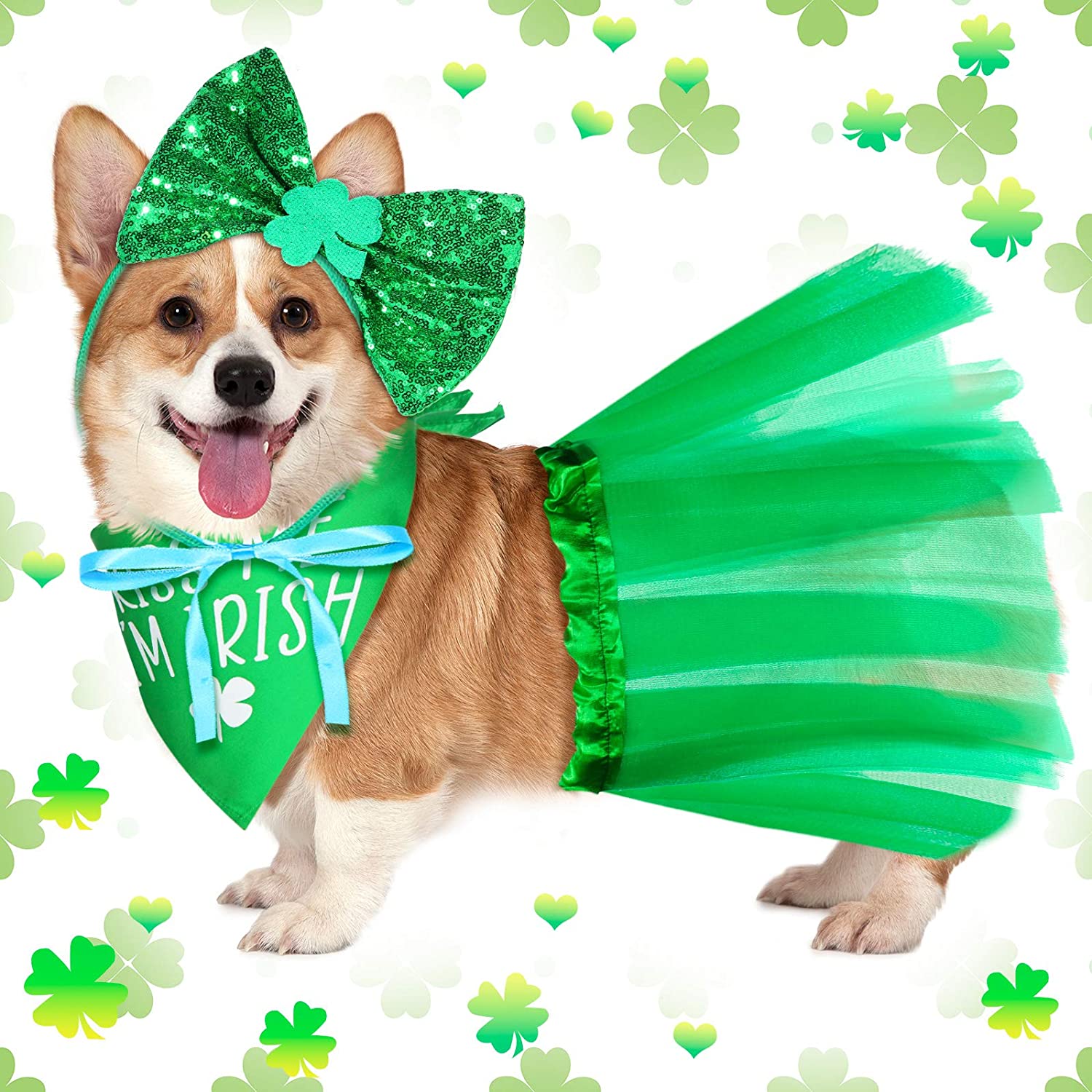 st patrick dog costume