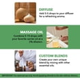 thumbnail image 5 of Majestic Pure Tea Tree Essential Oil - Pure, Natural and Premium Grade - Tea Tree Oil for Skin, Face, Hair, Nails, Acne, Scalp, Massage, Aromatherapy, Diffuser, Topical & Household Uses - 1 fl oz, 5 of 10