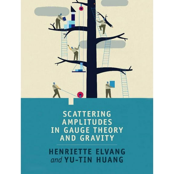 Scattering Amplitudes in Gauge Theory and Gravity, (Hardcover)