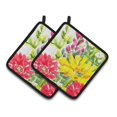 thumbnail image 1 of Carolines Treasures 6136PTHD Paire de Porte-Pots, 1 of 3