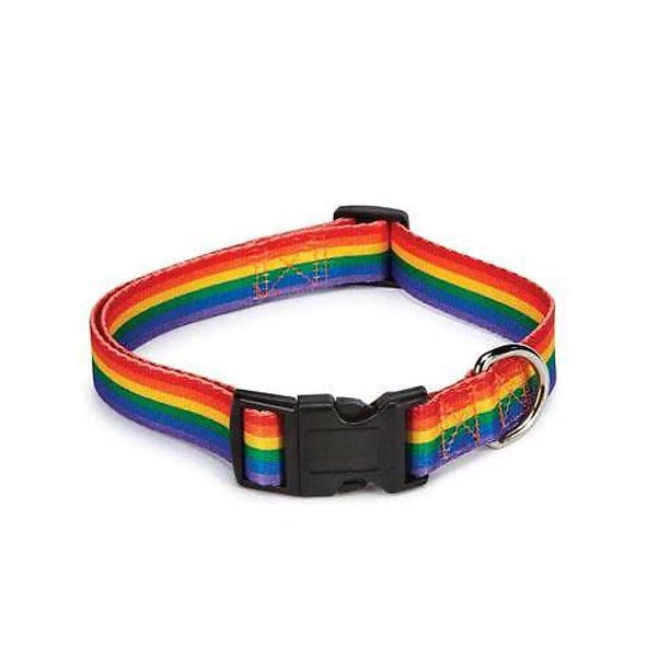 Rainbow Dog Collars Colorful Pet Puppy Pride Gear Quick Release Plastic