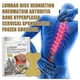 thumbnail image 4 of Ginger Lumbar Patch Relieve Lumbar Pain Body Care Healt, 4 of 5