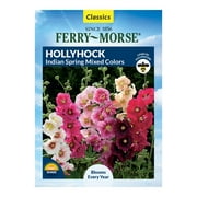Ferry-Morse 310MG Hollyhock Indian Spring Mixed Colors Perennial Flower Seeds Partial Shade