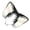 dog ears black white, variant on 1/2Pcs Dog Ears Hairband Dog Tail Dog Costumes Halloween Cosplay Costumes Dog Ears Headband Faux Furs Tail