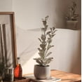 thumbnail image 2 of Realistic Green Plant in Ceramic Pot, 2 of 7