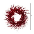 thumbnail image 3 of Vickerman 24" Red Artificial Eucalyptus Glitter Wreath., 3 of 6