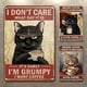 thumbnail image 2 of Placa Metal Vintage Gato Pintura Hierro Rectangular Bar para El Art30x40cm 3 Uds., 2 of 9