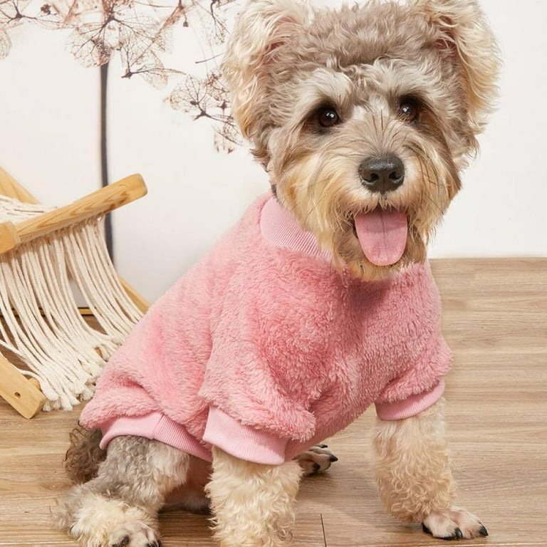 Chihuahua pink cheap sweater