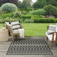 thumbnail image 3 of Nourison Positano Indoor/Outdoor Black 4' x 6' Area Rug (4x6), 3 of 9