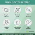 thumbnail image 3 of Healblend Detox Formula Supplement with Milk Thistle, Bentonite Clay & Herbal Extracts for Liver Cleanse, Digestive Health, Bloating Relief & Immune Support, 60 Capsules (3 Pack), 3 of 9