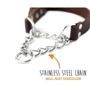 Mighty Paw Leather Training Collar, Martingale Collar, Stainless Steel Chain - Limited Chain Cinch Collar