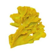 Synthetic Blue Ridge Coral in Yellow