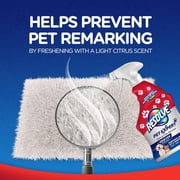 Resolve Pet Expert Carpet Cleaner Spray for Pets Stains and Odors, 22 oz