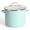 Blue, variant on Martha Stewart Thayer Enamel on Steel 12 QT Stock Pot W/ Metal Lid