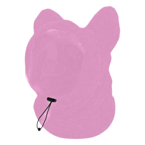Thickened Plush Dog Winter Hat with Ear Protection for Small Medium Large Dogs Cat Pet Headwear Windbreak Earmuffs for Training Walking