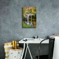 thumbnail image 6 of Epic Graffiti 'Smoky Mountains Autumn Waterfall 2' by Grace Fine Arts Photography, Canvas Wall Art, 12"x18", 6 of 8