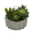 thumbnail image 3 of Faux Succulent In Cement Pot 7" Diameter, 3 of 4