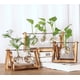 thumbnail image 3 of Jarrón de vidrio transparente - Jarrón de cristal decorativo - Hogar u oficina - Regalo de boda, dos botellas oso de fresa Electrónica, 3 of 5